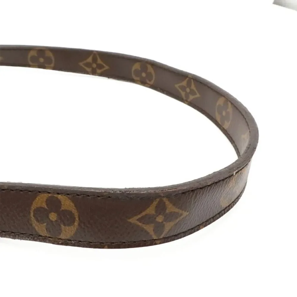 Louis Vuitton Monogram Tote